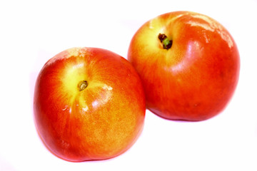 Two nectarines isolated on white