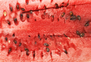 ripe watermelon background