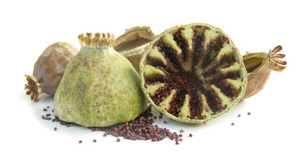 Poppz opium capsule with seeds