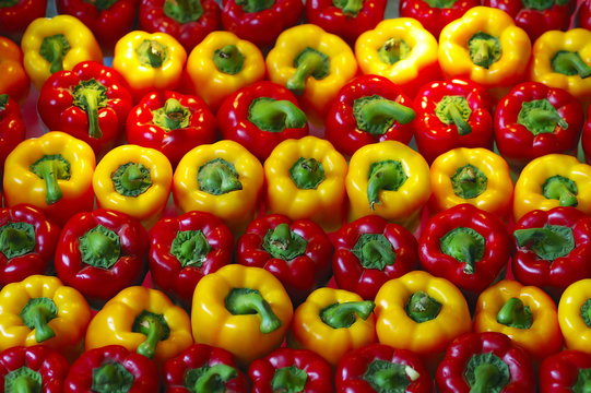 Colorful bell Peppers