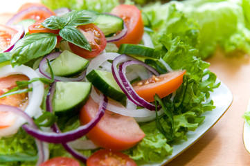 Fresh salad with onion, tomato and basil