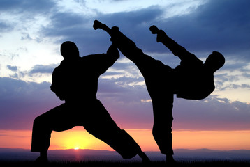 Martial art © Dimitar Marinov