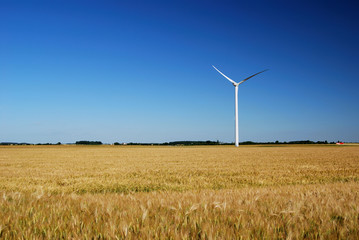 éolienne en été 3