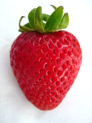 Single Juicy Strawberry