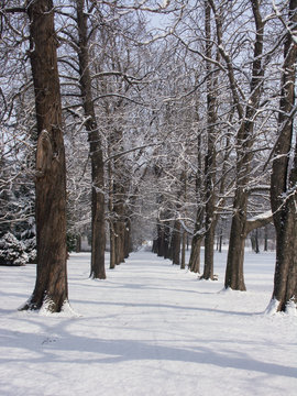 Alee im Schnee