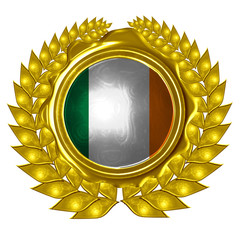 irish flag