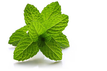 Mint