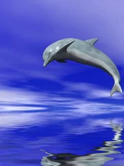 Deurstickers Dolfijn © Sergey Tokarev