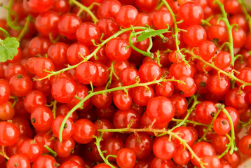 Red currants