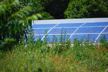 Panneaux solaire sur une serre