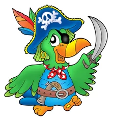 Deurstickers Piraten Piraten papegaai