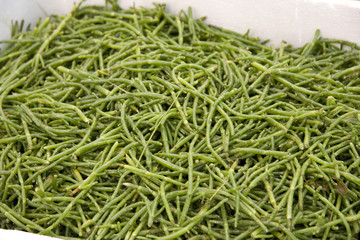 les algues, légume de la mer