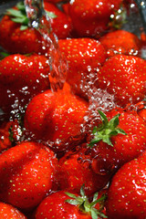 Strawberry Wash