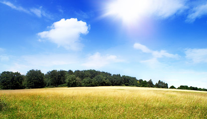 Fototapeta premium natur pur 1