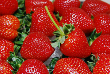 Strawberries 