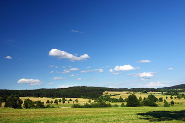 Summer countryside - czech republic