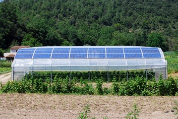 Serre fonctionnant au solaire