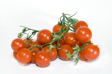 Tomato