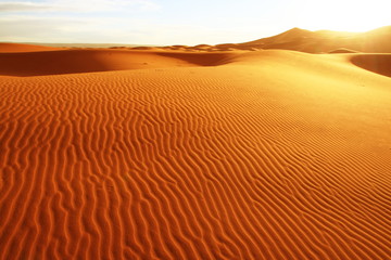 Zandwoestijn