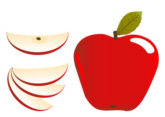 Apple illustration