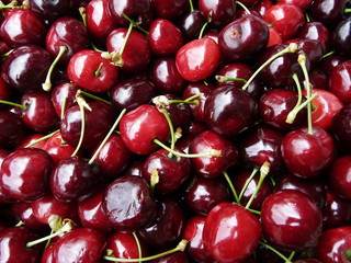 cerises