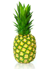 Fototapeta premium pineapple