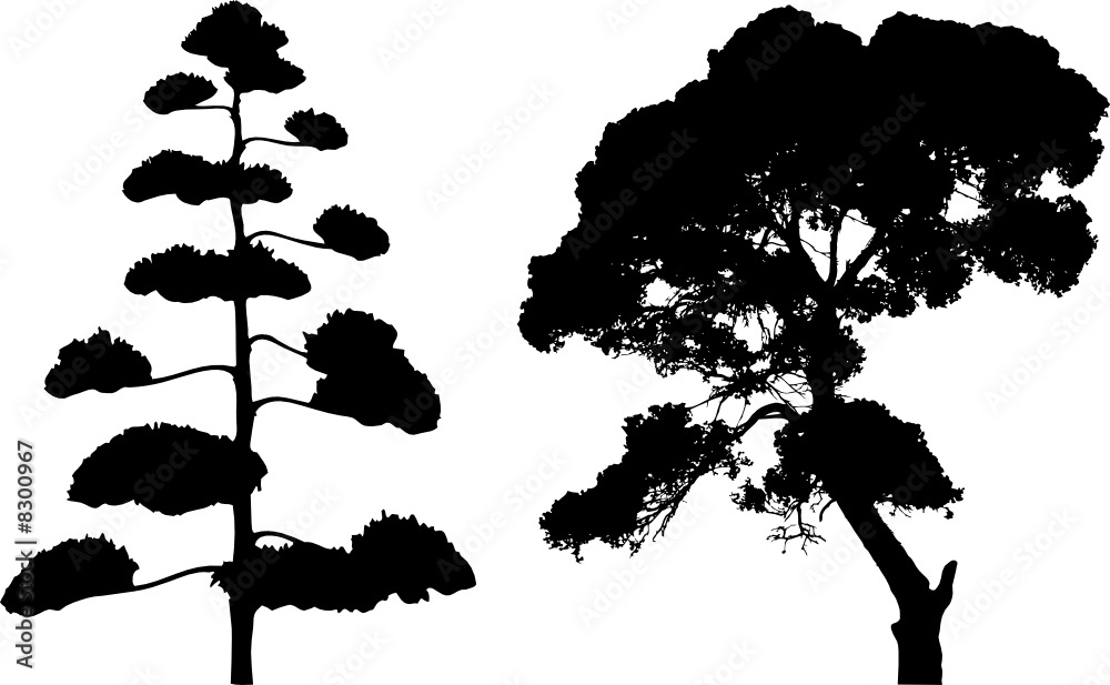 Wall mural two tree silhouettes on white.