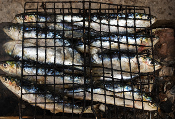 Safi Sardines