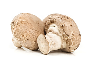 Champignons (agaricus bisporus)  isolated.