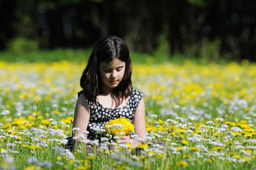Printemps en Pays-Bas