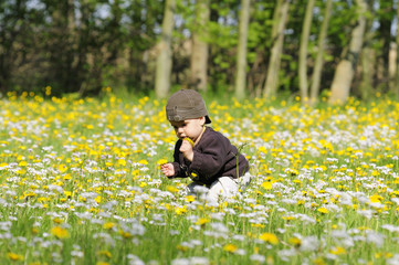 Spring in the Netherlands