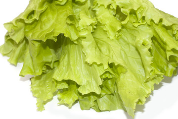Green salad on white background