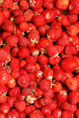 Strawberry background