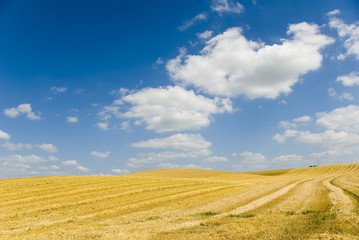 le temps des moissons