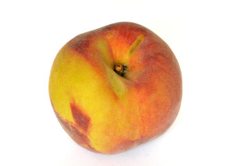 Pêche