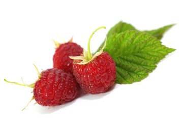 Himbeeren