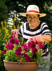senior lady with her plants in the garden