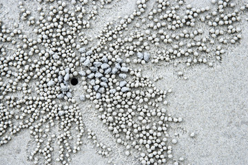 Pebbles in sand.