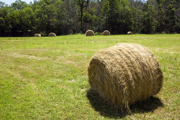 Hay bale in field.