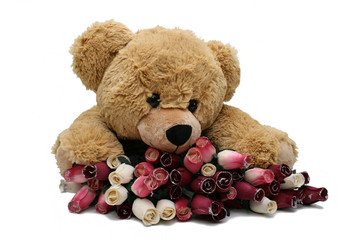 Ours avec des roses