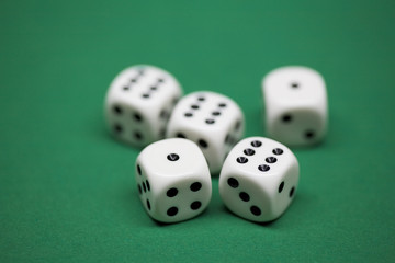 5 Würfel zeigen Full House