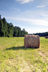 Bales of hay