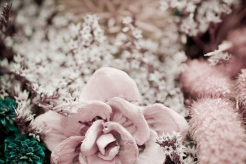 bouquet de fleurs séchées à l'ancienne