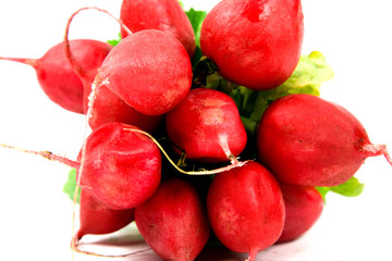 Radish