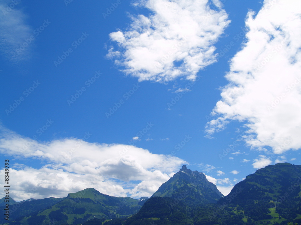 1000_F_8349793_rJOjVAcg9NdFY35e15C1NKcyBON7l9cT.jpg