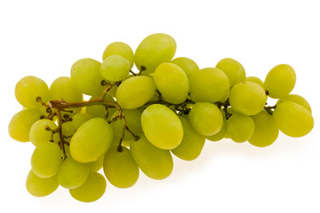 Autumn grapes
