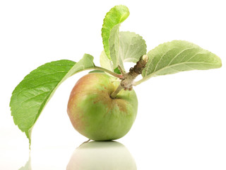 Junger Apfel