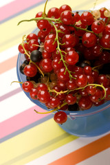 currant