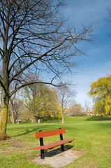 Obraz na płótnie Canvas Bench in a park