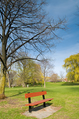 Bench in a park